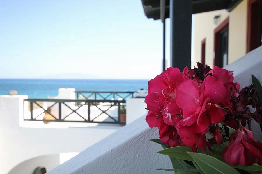 Vrachia Studios & Apartments Oia Eksteriør billede